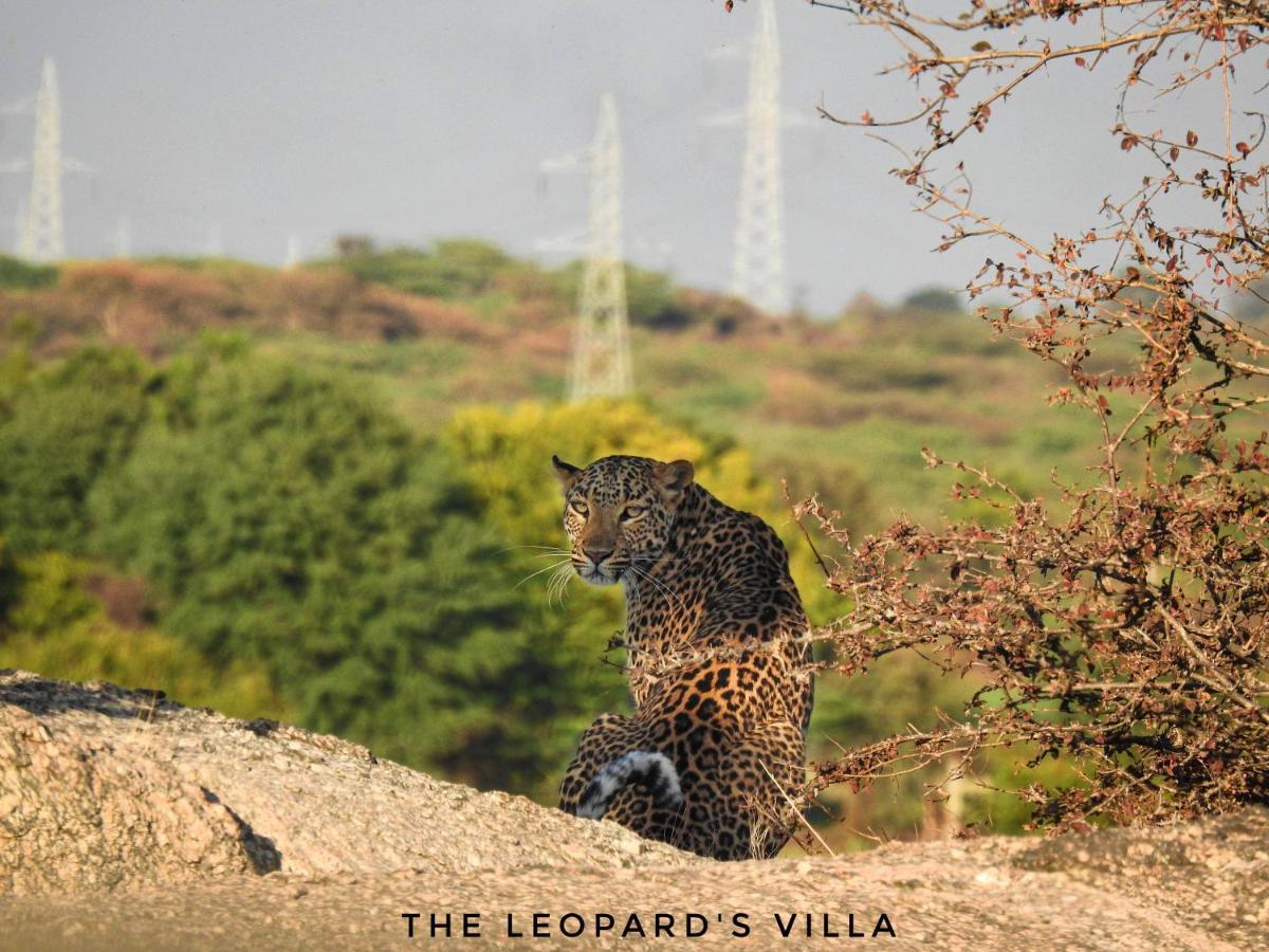 Jawai Leopard Villa Bijapur  Экстерьер фото