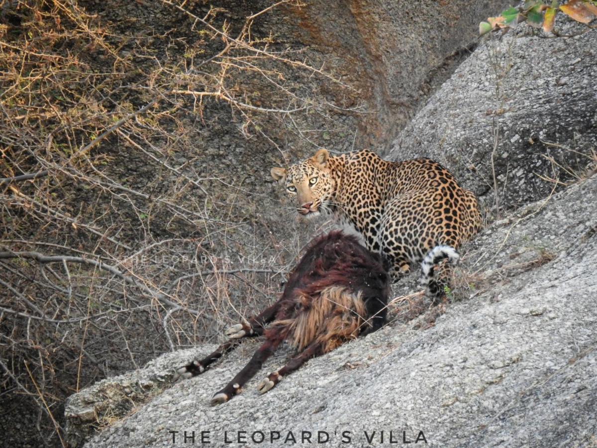 Jawai Leopard Villa Bijapur  Экстерьер фото
