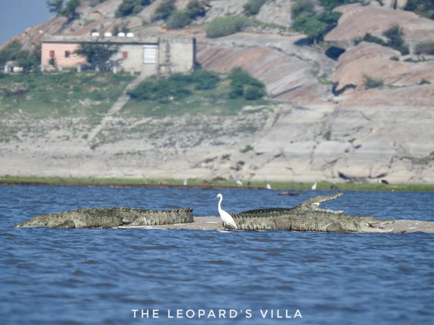 Jawai Leopard Villa Bijapur  Экстерьер фото