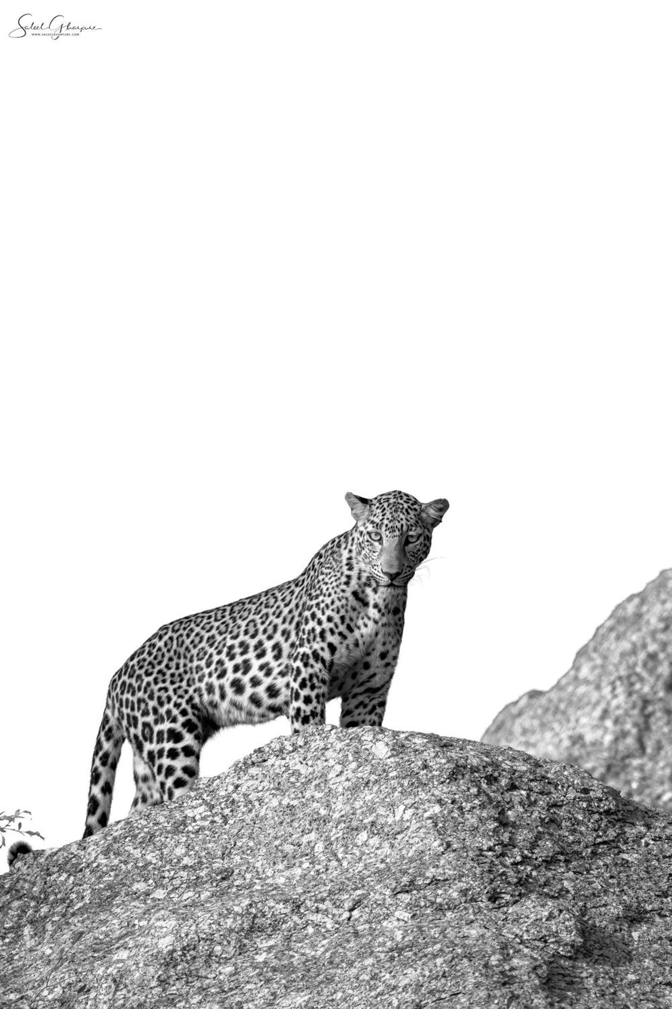 Jawai Leopard Villa Bijapur  Экстерьер фото