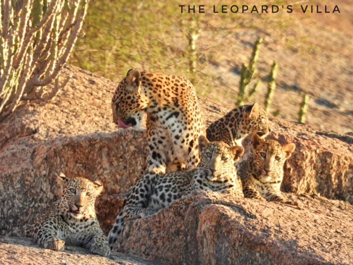 Jawai Leopard Villa Bijapur  Экстерьер фото